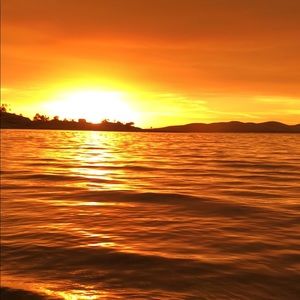 Meet your Posher, Gilbert